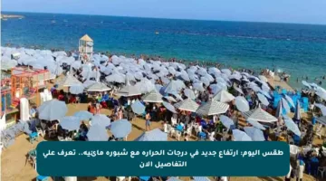 طقس اليوم: ارتفاع جديد في درجات الحرارة مع شبورة مائية.. تعرف على التفاصيل الآن